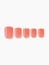 Load image into Gallery viewer, Popsicle